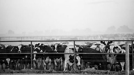 衛星數據看透全球氨污染熱點